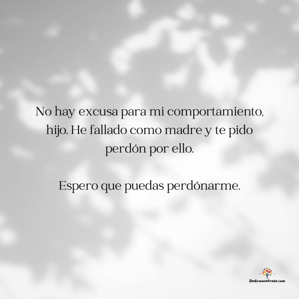 No hay excusa para mis actos y asumo toda la responsabilidad por ellos. Te pido perdón y e