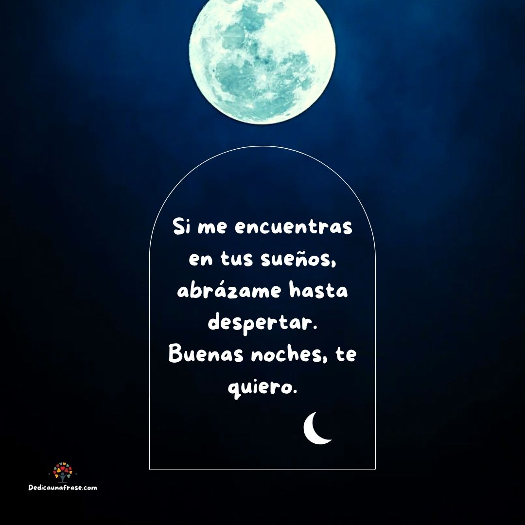 Si me encuentras en tus sueños, abrázame hasta despertar. Buenas noches, te quiero.