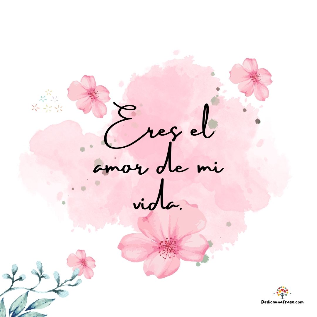 Eres el amor de mi vida.