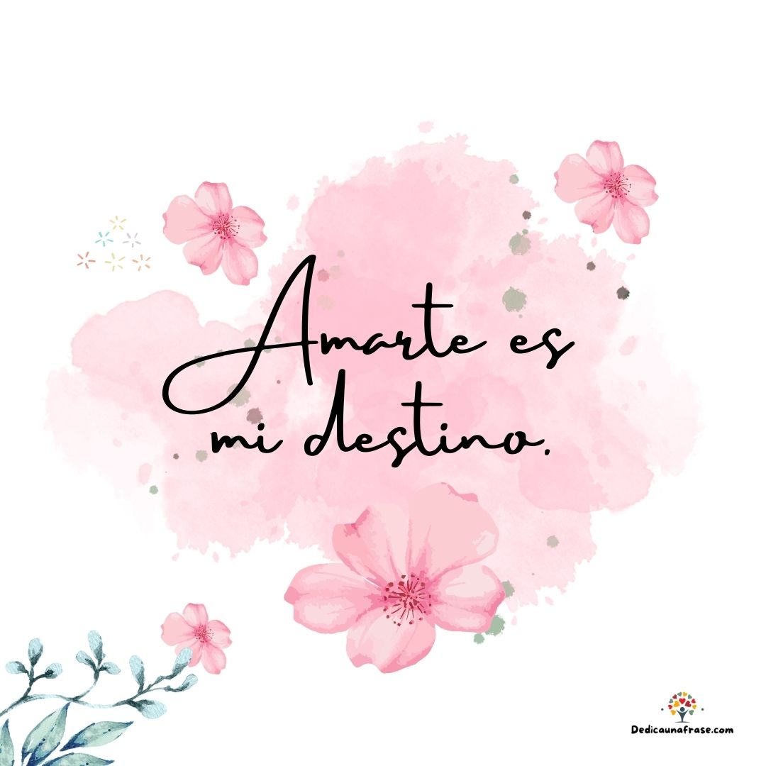 Amarte es mi destino.