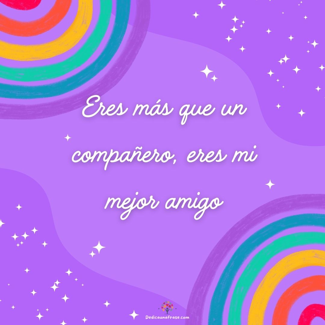 Eres más que un compañero, eres mi mejor amigo