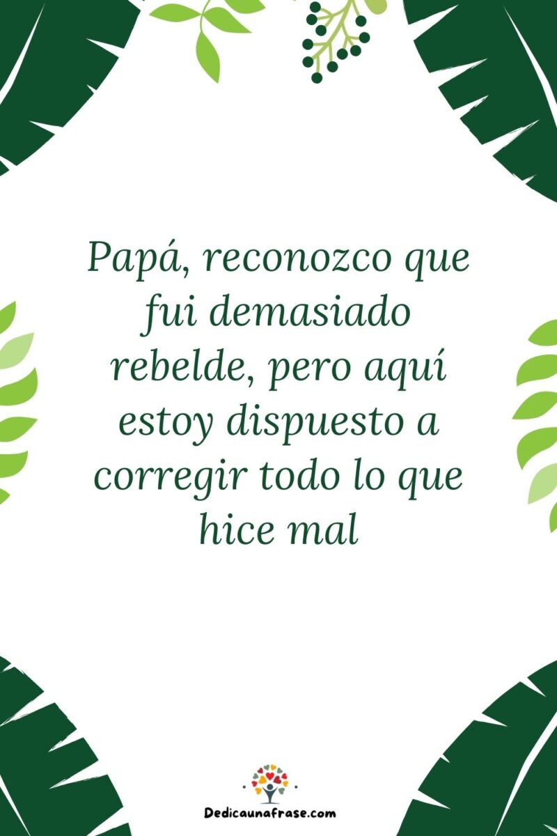 Papá, reconozco que fui demasiado rebelde, pero aquí estoy dispuesto a corregir todo lo qu