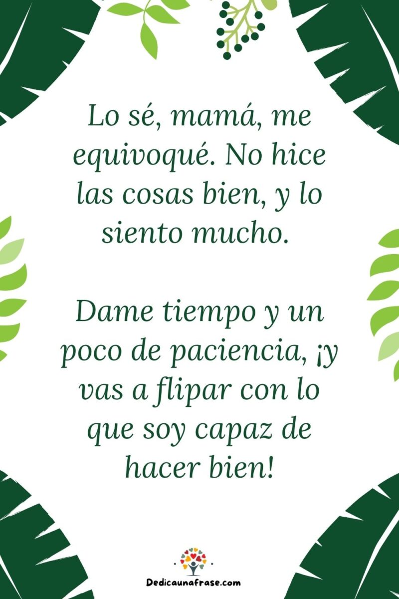 Lo sé, mamá, me equivoqué. No hice las cosas bien, y lo siento mucho. Dame tiempo y un poc