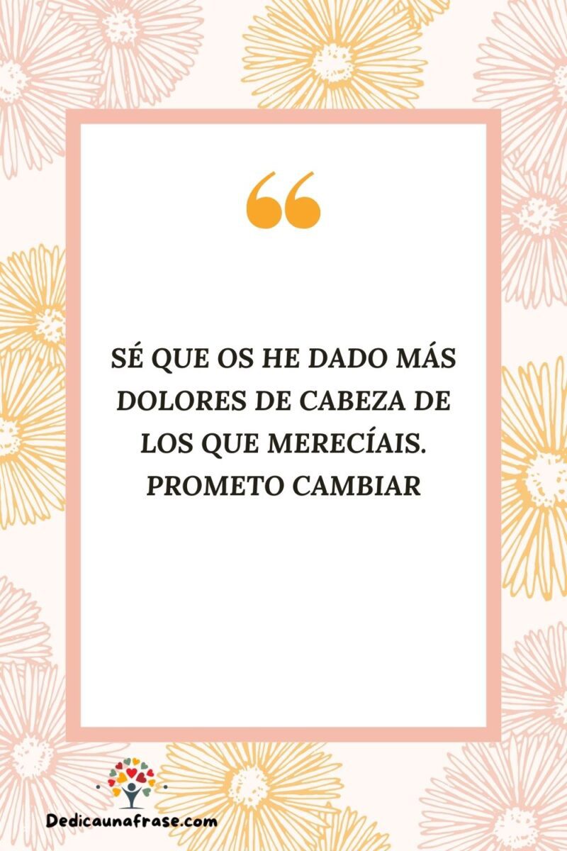 Sé que os he dado más dolores de cabeza de los que merecíais. Prometo cambiar