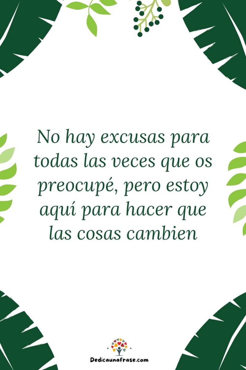 No hay excusas para todas las veces que os preocupé, pero estoy aquí para hacer que las co