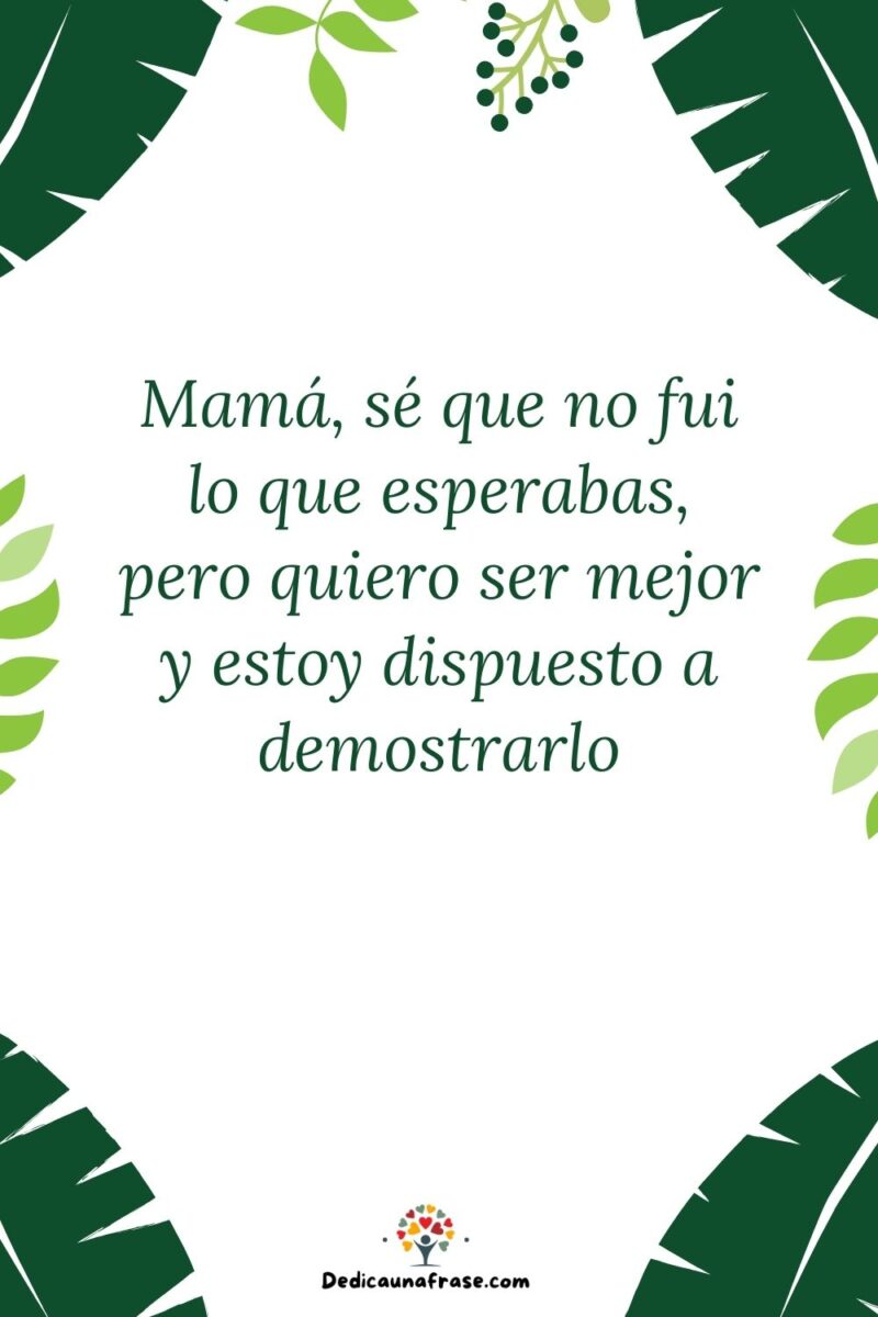 Mamá, sé que no fui lo que esperabas, pero quiero ser mejor y estoy dispuesto a demostrarl