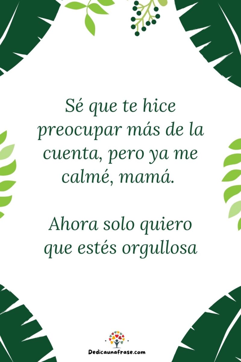 Sé que te hice preocupar más de la cuenta, pero ya me calmé, mamá. Ahora solo quiero que e