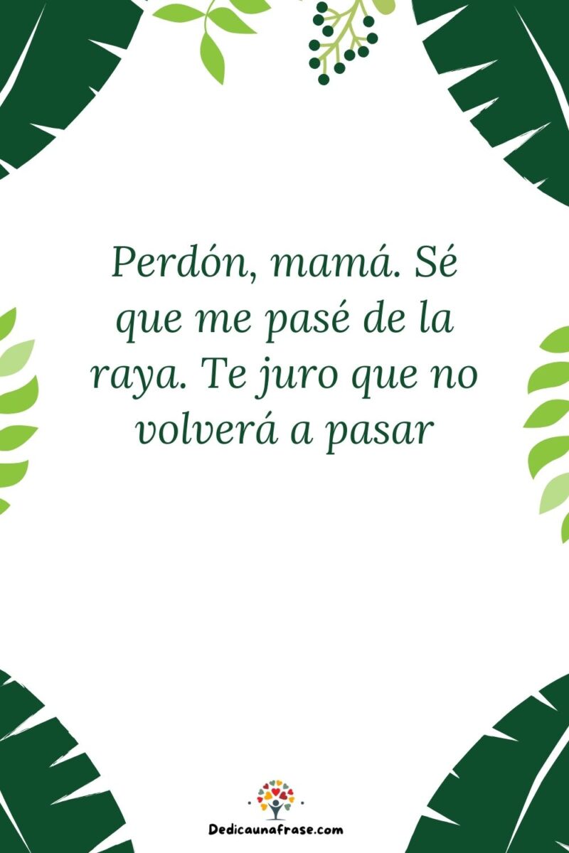 Perdón, mamá. Sé que me pasé de la raya. Te juro que no volverá a pasar