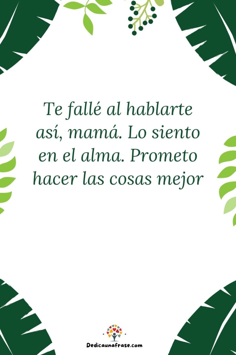 Te fallé al hablarte así, mamá. Lo siento en el alma. Prometo hacer las cosas mejor