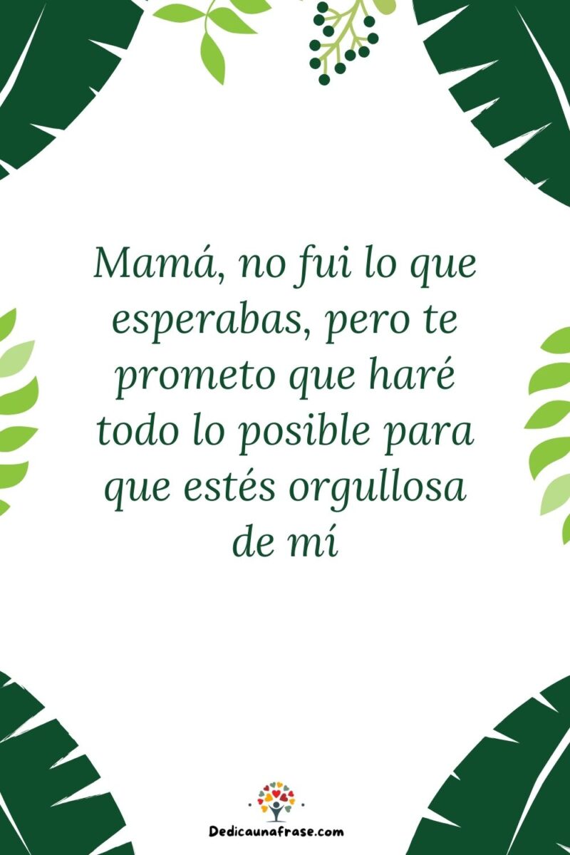 Mamá, no fui lo que esperabas, pero te prometo que haré todo lo posible para que estés org