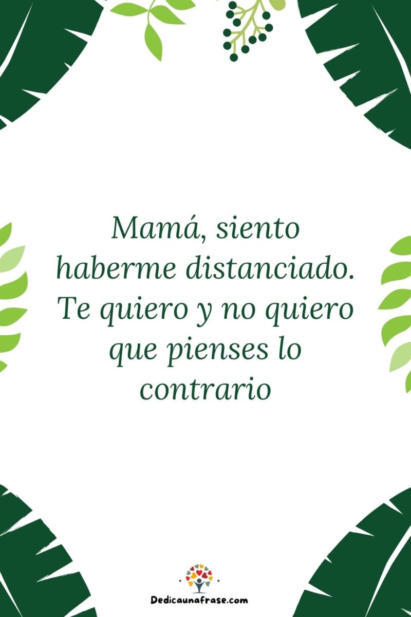 Mamá, siento haberme distanciado. Te quiero y no quiero que pienses lo contrario