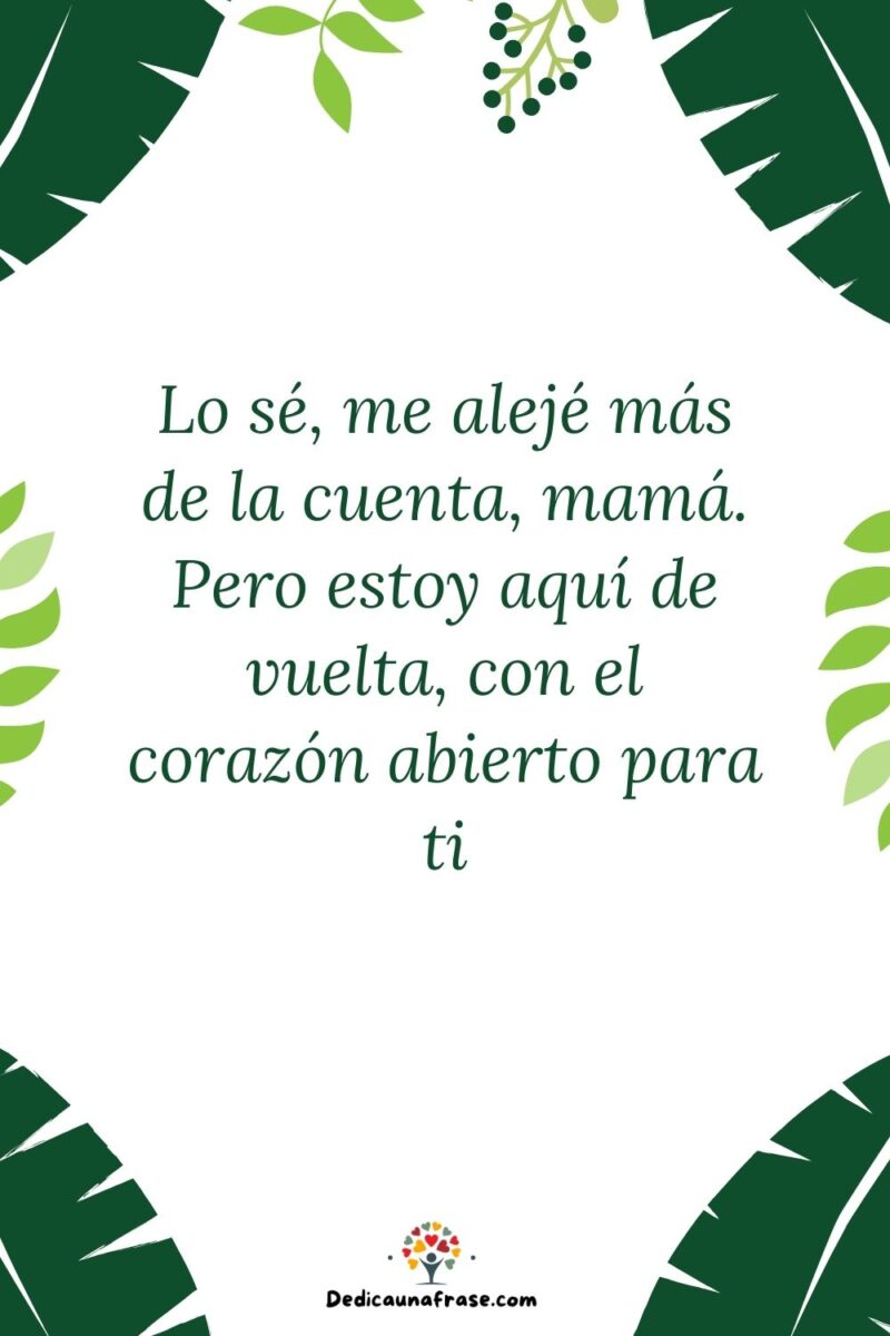 Lo sé, me alejé más de la cuenta, mamá. Pero estoy aquí de vuelta, con el corazón abierto