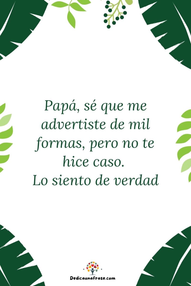 Papá, sé que me advertiste de mil formas, pero no te hice caso. Lo siento de verdad