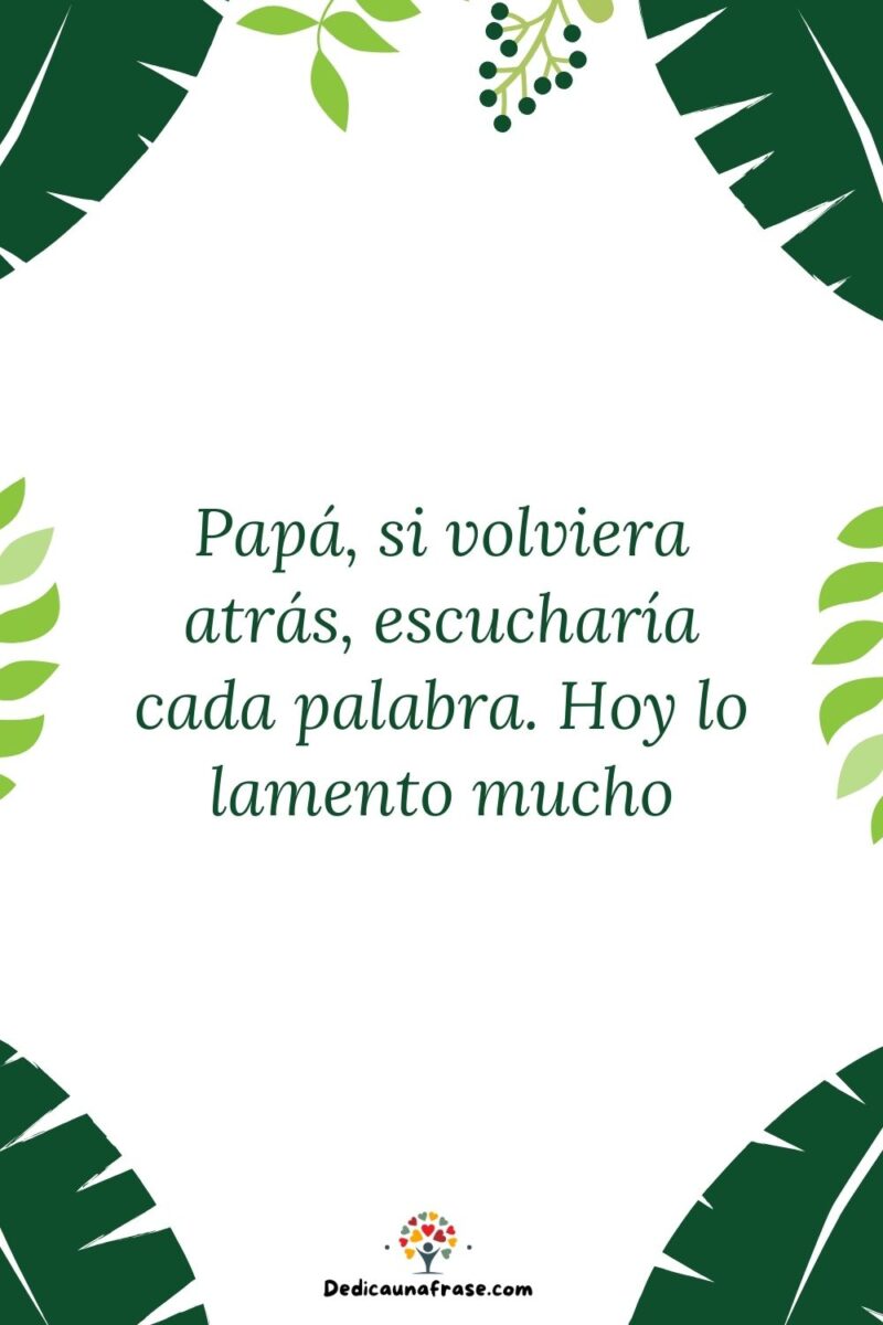 Papá, si volviera atrás, escucharía cada palabra. Hoy lo lamento mucho