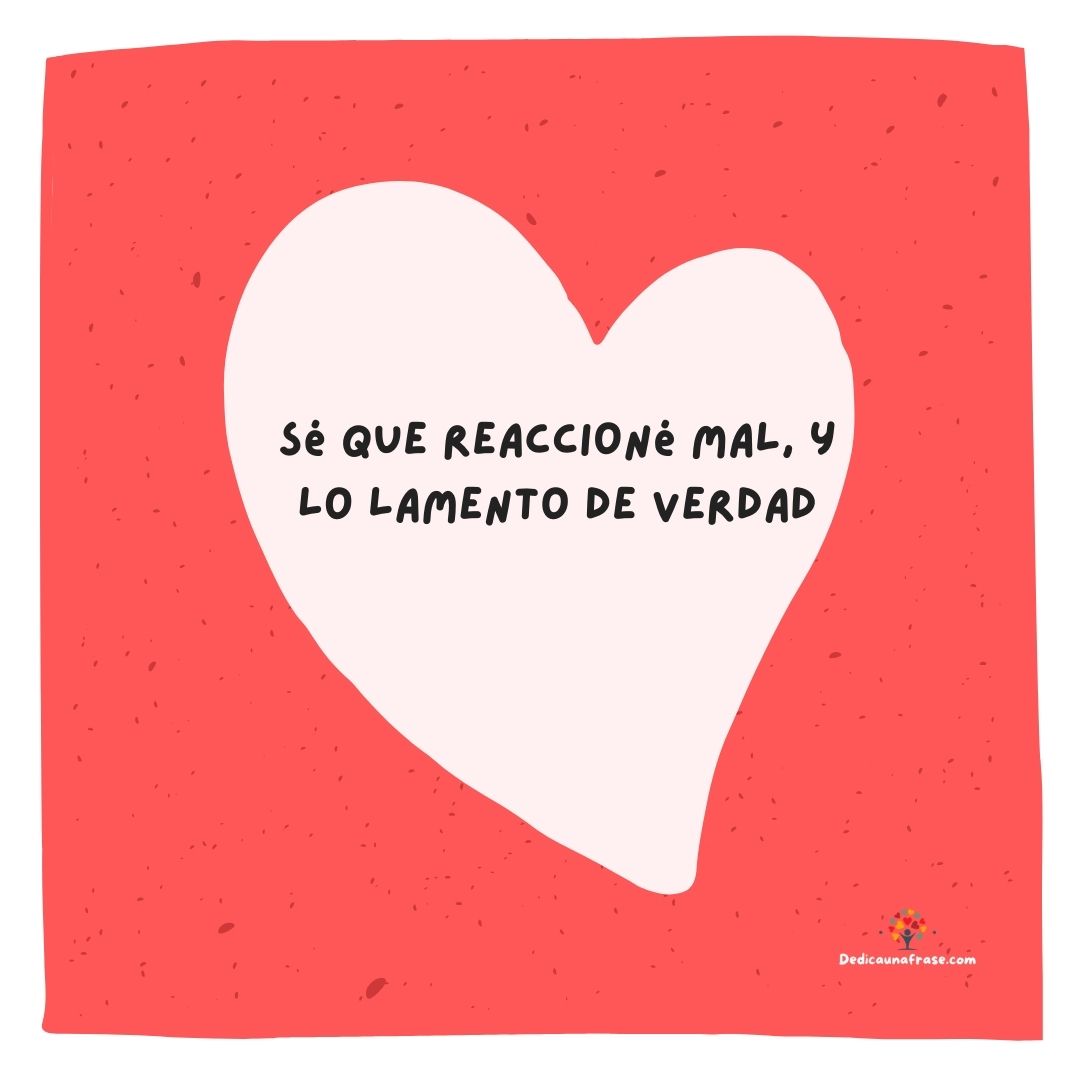 Sé que reaccioné mal, y lo lamento de verdad