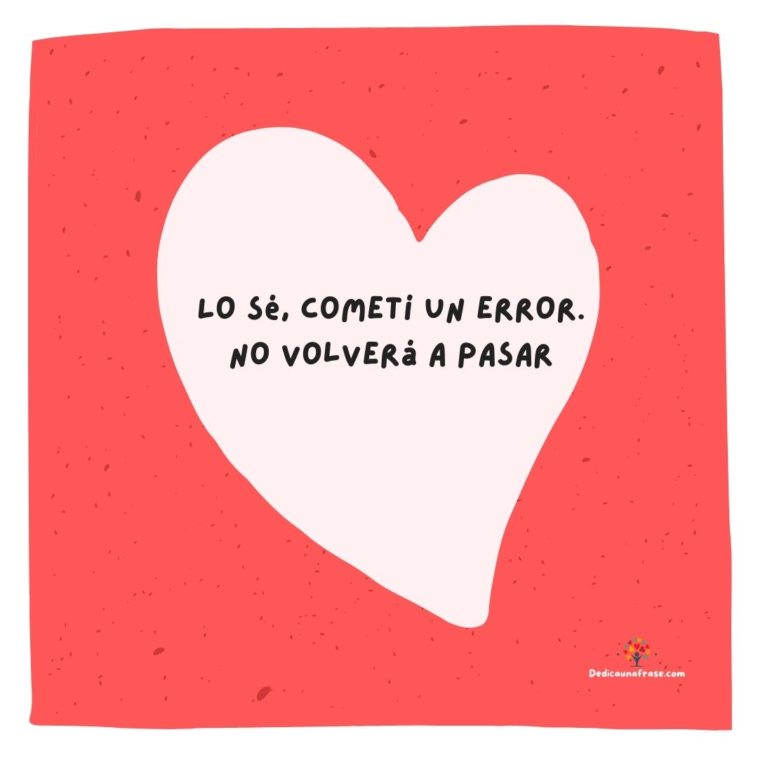 Lo sé, cometí un error. No volverá a pasar