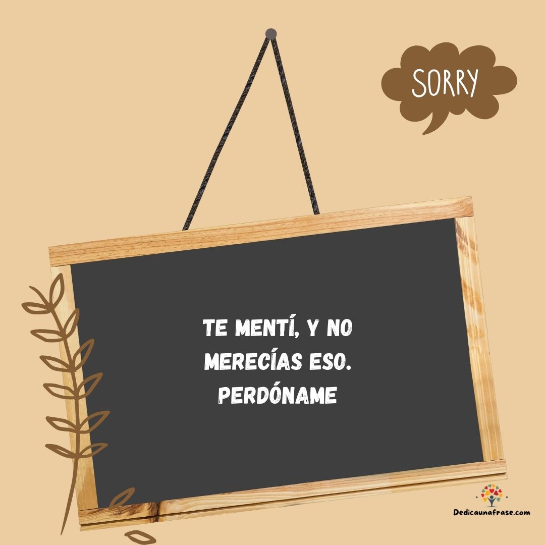 Te mentí, y no merecías eso. Perdóname