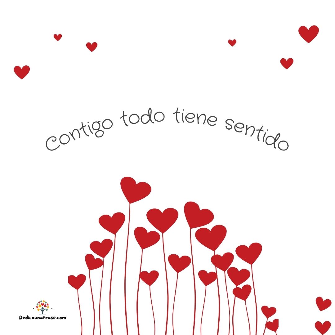 Contigo todo tiene sentido